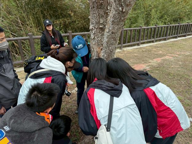 天母國中_木棧道生態體驗1