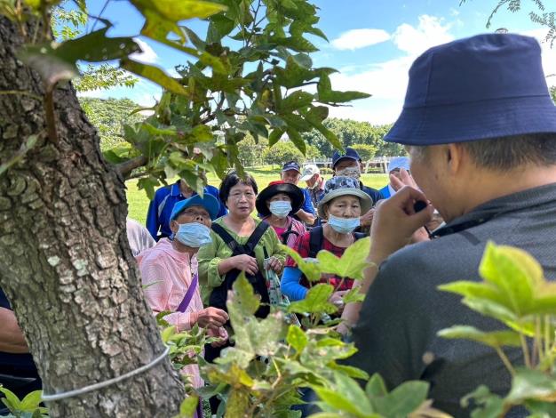認識老街溪沿岸綠化植栽與設施