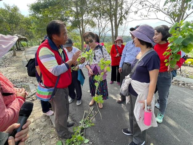 里民帶著麝香木回家栽種 美化鄰里
