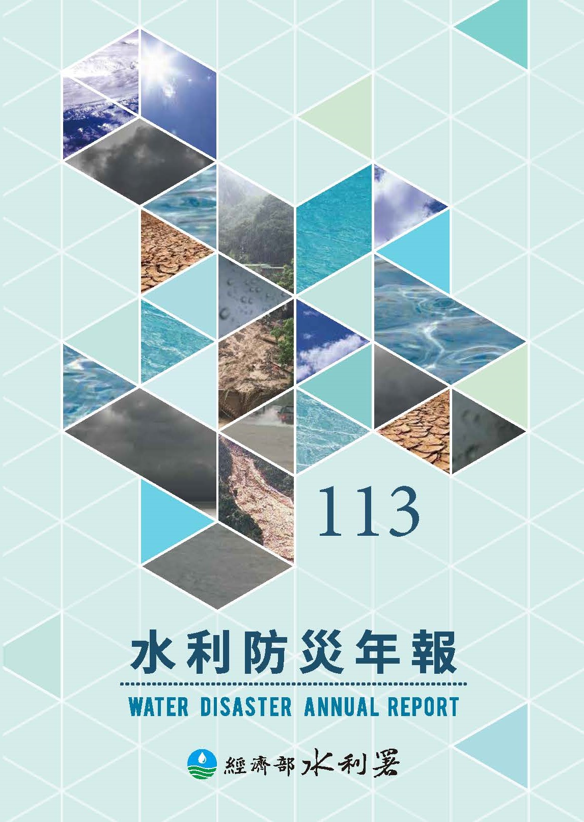 113年報封面.jpg
