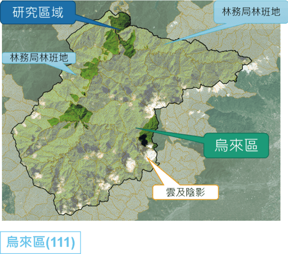 坪林區植生與固碳量潛力評估