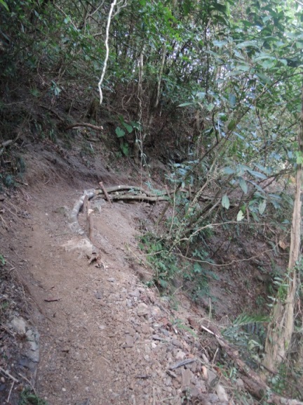 步道橫木護坡、崩坍土方清理完成