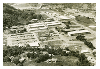 管理局照片動圖展示