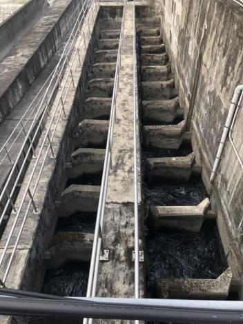 3.士林堰魚道功能正常
