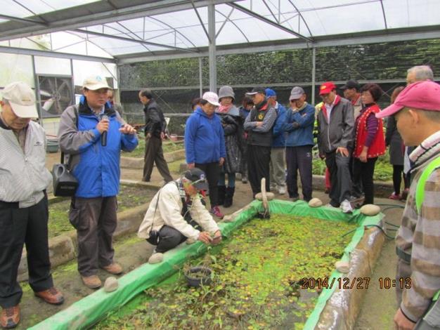 於溫室解說兩種特稀有植物及水生植物